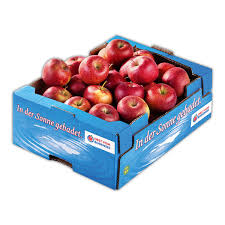 Elstar Äpfel fein-säuerlich 5 kg