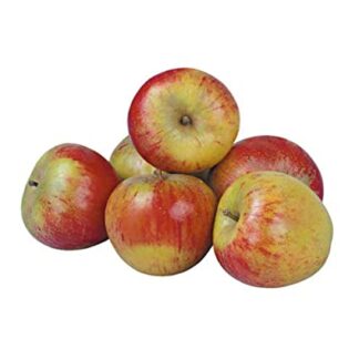 Cox-Orange-Äpfel süß-säuerlich, 6 Stück