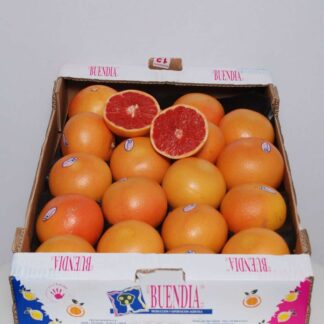 Grapefruit rot süßlich-herb - 7kg