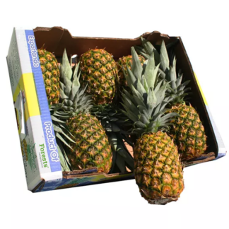 Ananas Extra Sweet Gold Große Frucht 6 er Karton