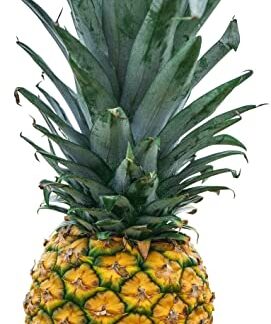 Ananas Extra Sweet Gold Große Frucht