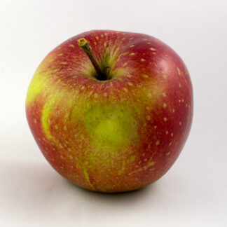 Wellant Äpfel frisch 10 kg