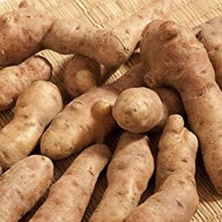 Bamberger Hörnchen Kartoffeln 10 kg