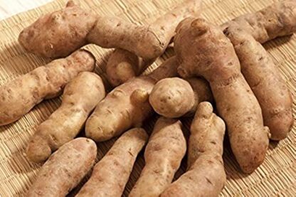 Bamberger Hörnchen Kartoffeln 10 kg