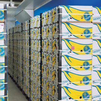 Bananen Chiquita 18 kg