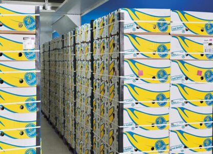 Bananen Chiquita 18 kg