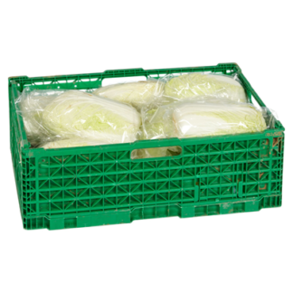 Chinakohl frisch 10 kg
