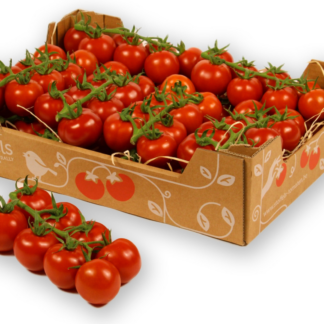 Cocktailtomaten frisch 3 kg