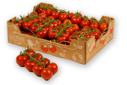 Cocktailtomaten frisch 3 kg