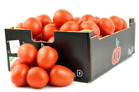 Eiertomaten frisch 5 kg