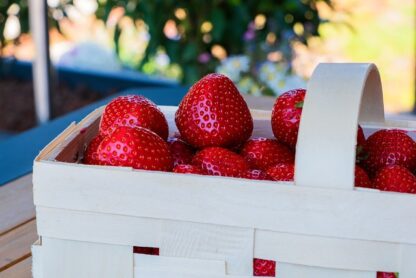Erdbeeren frisch + süß  2 kg Korb