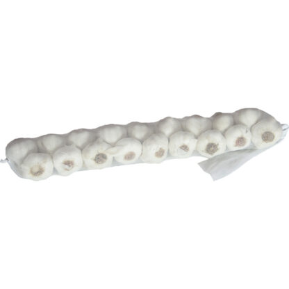 Knoblauch 1 kg Strang