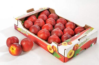 Nektarinen gelb süß 4 kg