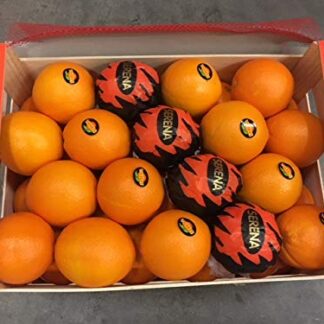 Orangen Dick frisch süß + saftig 15 kg
