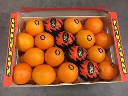 Orangen Dick frisch süß + saftig 15 kg