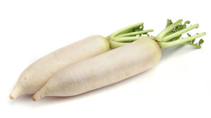 Rettich weiss frisch 1 Stück