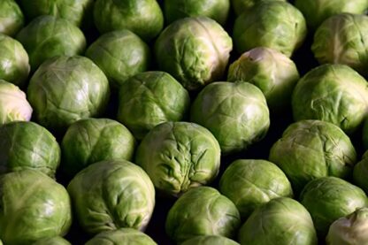 Rosenkohl frisch 5 kg