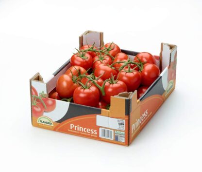 Strauchtomaten frisch 5 kg