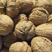 Bio Walnüsse 5 kg 34 - 36+