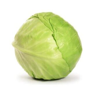 Weißkohl frisch 1 Stück groß