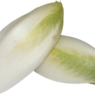 Chicoree frisch 500 g Betutel