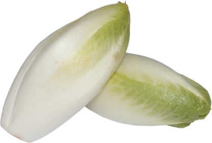 Chicoree frisch 500 g Betutel
