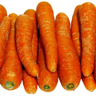 Speisekartotten frisch 2 kg Beutel