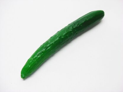 Bio Gurken frisch 1 Stück