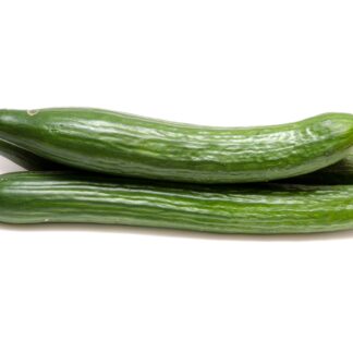 Salatgurken frisch 12 Stück Karton