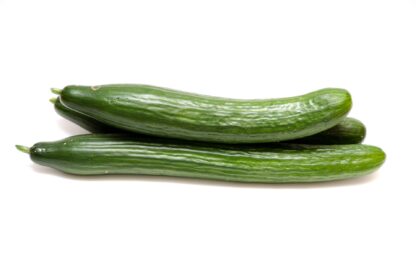 Salatgurken frisch 12 Stück Karton