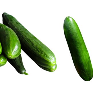 Salatgurken frisch 1 Stück