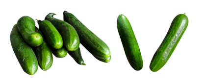 Salatgurken frisch 1 Stück