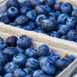 Heidelbeeren 150 g Schale