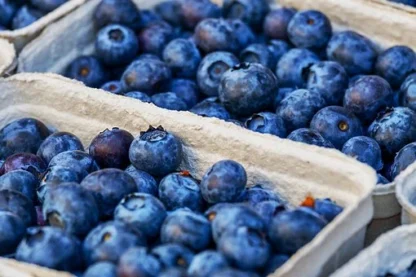 Heidelbeeren 150 g Schale