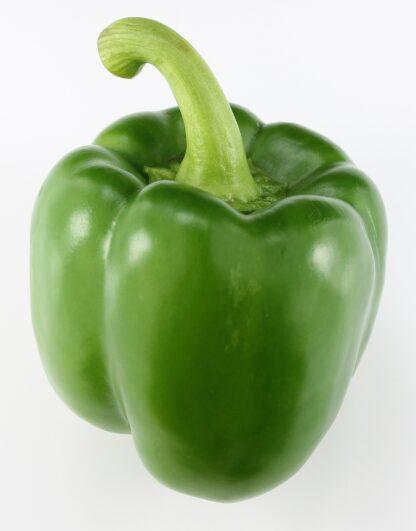 Paprika grün frisch 5 kg