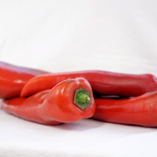 Spitzpaprika rot frisch 400g Packung