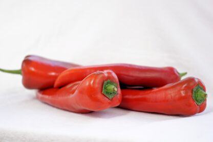 Spitzpaprika rot frisch 400g Packung