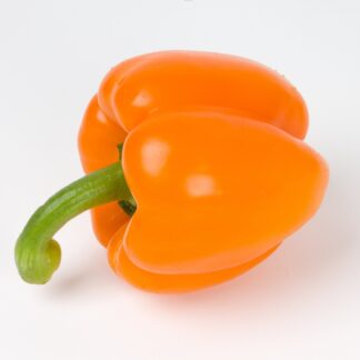 Paprika Orange frisch 5 kg