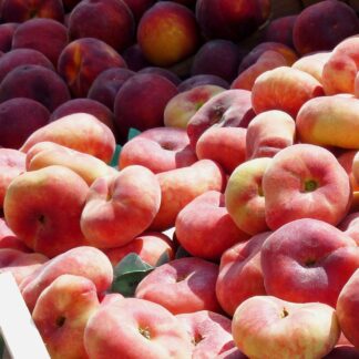 Blattpfirsiche frisch gelb 4 kg Kiste