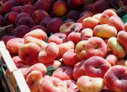Blattpfirsiche frisch gelb 4 kg Kiste