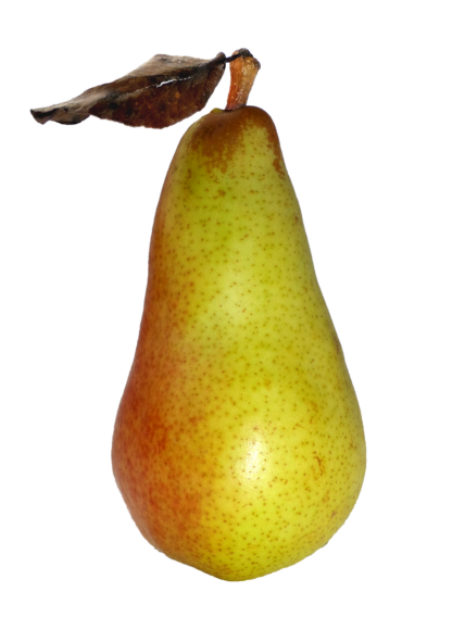Birnen Abate süß 4 kg