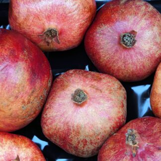 Granatapfel 5 - 6 er Karton