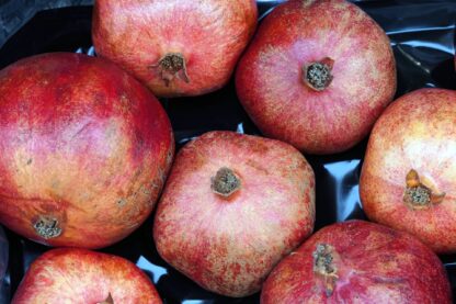 Granatapfel 5 - 6 er Karton