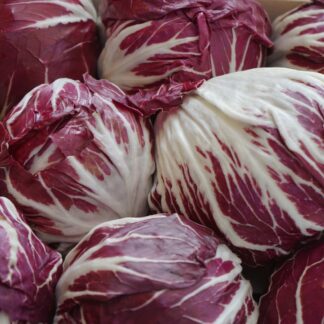 Salat Radicchio frisch 2 Stück