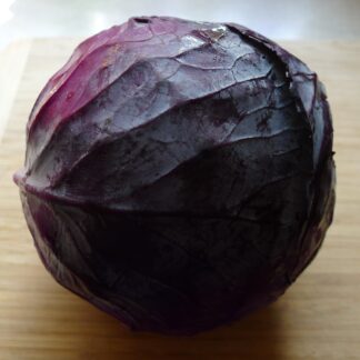 Rotkohl frisch 1 Stück groß