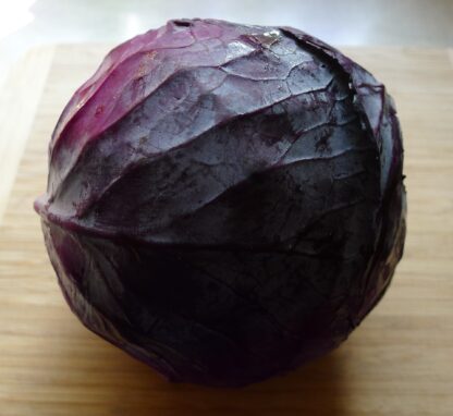 Rotkohl frisch 1 Stück groß