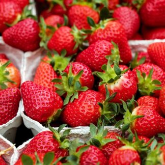 Erdbeeren frisch + süß  5 kg Kiste
