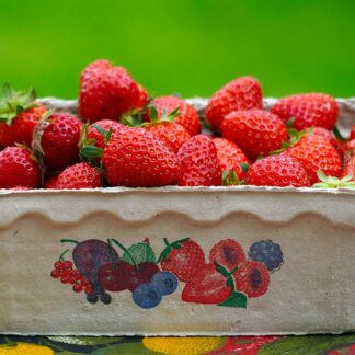 Erdbeeren frisch 500g Schale