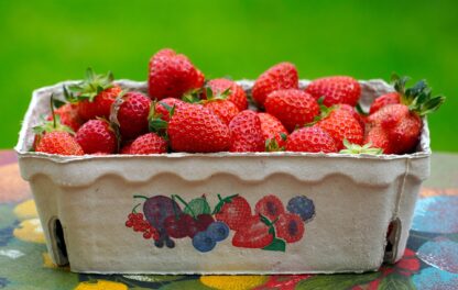 Erdbeeren frisch 500g Schale