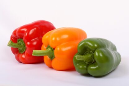 Paprika bunt frisch Beste Wahl 3 er Pack 500 g